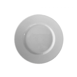 Assiette plate - 035127 - 48     27 cm