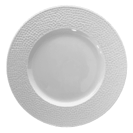 Assiette plate - 038126 -  48 26 cm