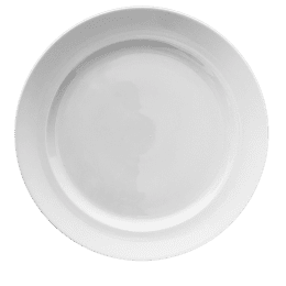 Assiette plate - 037127 -  48 27 cm