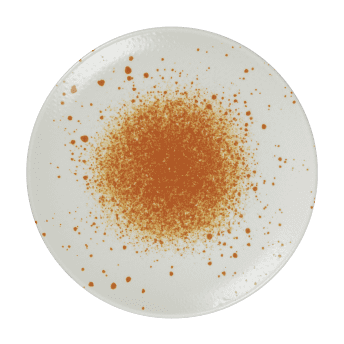 Assiette plate sans aile - 162031 - 27 cm